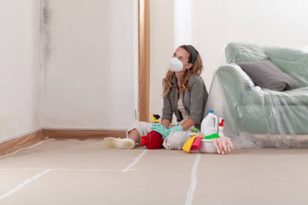 Reliable Mold Remediation contractor in Texas, TX by 24 Hour Mold Removal